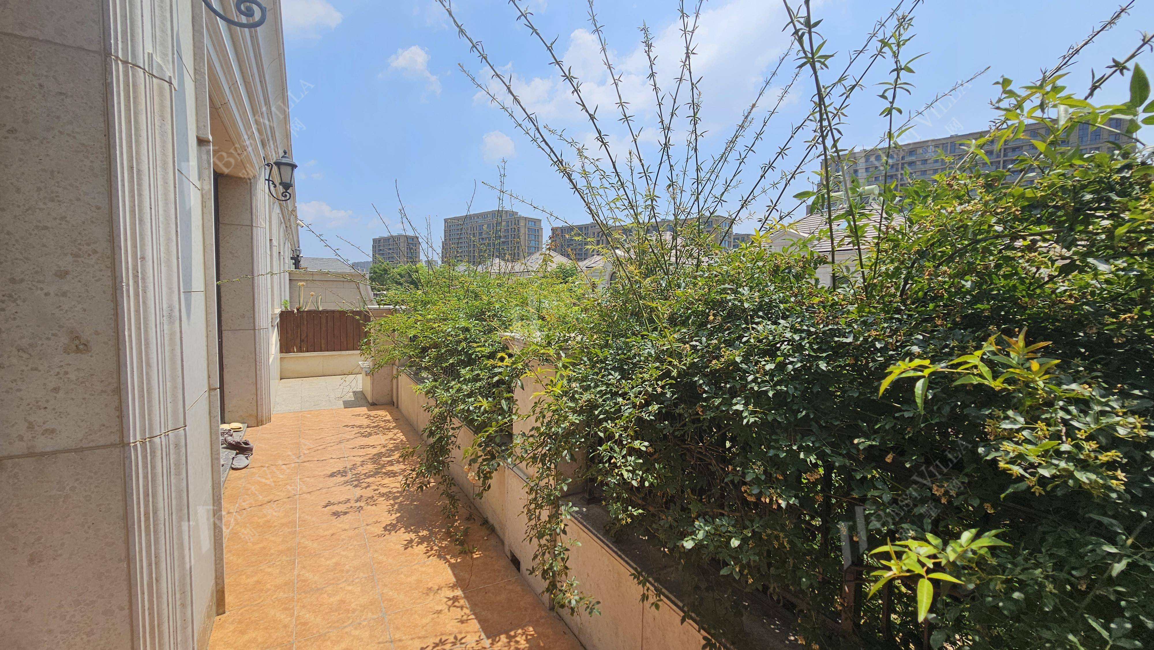 阳台