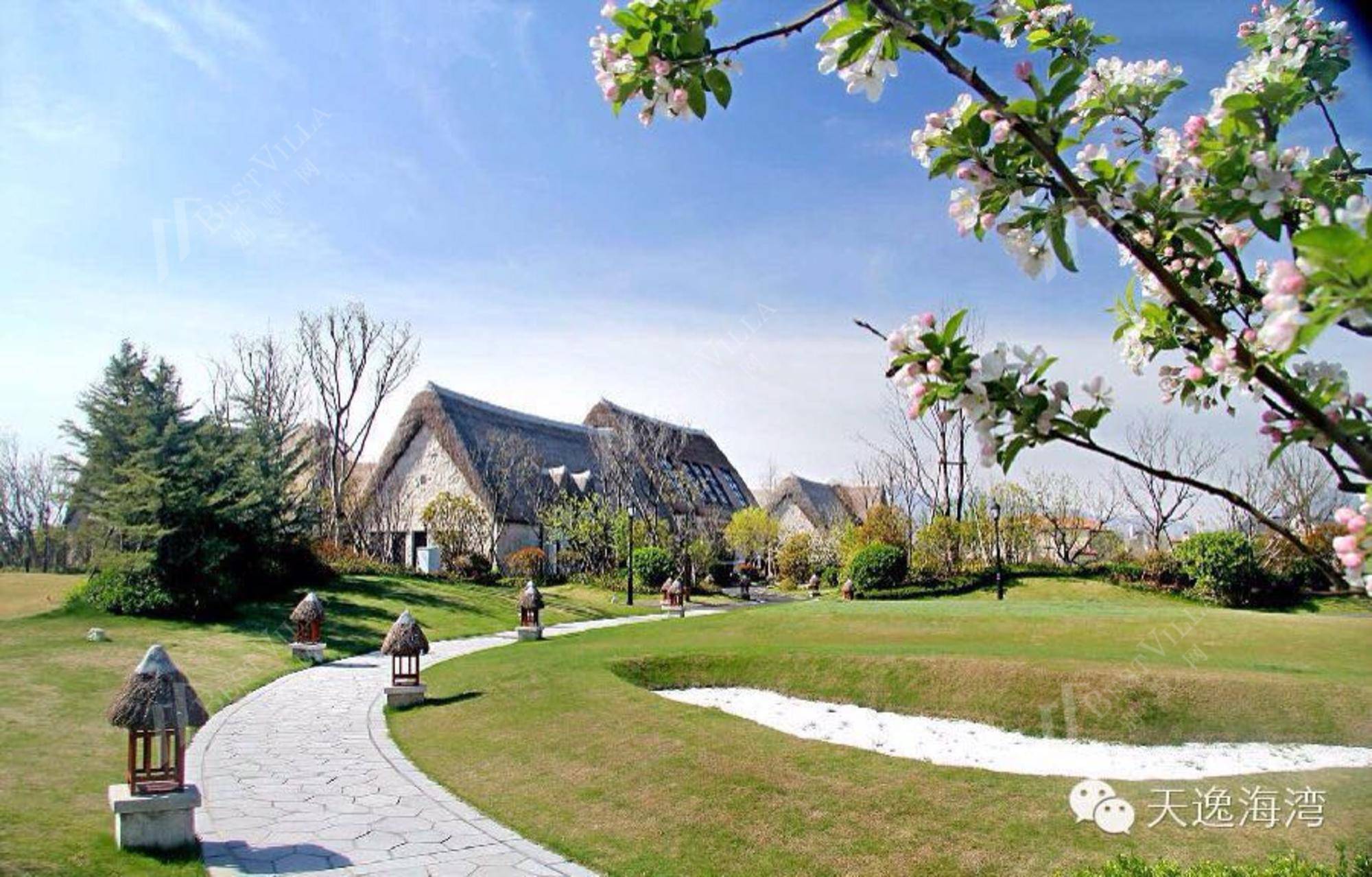 (专注别墅10年)天逸海湾,法式庄园,占地3亩